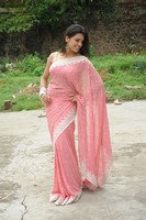 Tashu Kaushik Saree Photos